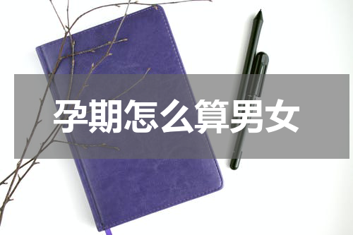 孕期怎么算男女