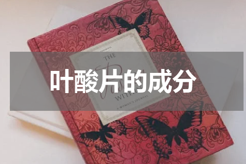 叶酸片的成分