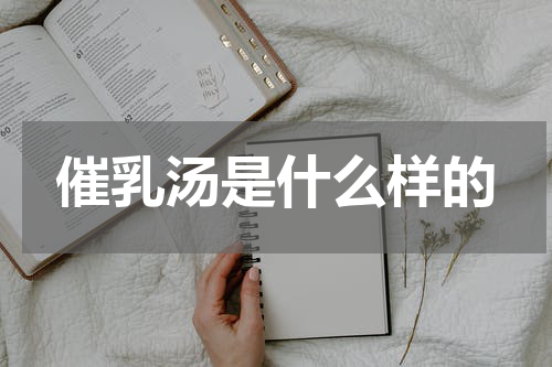 催乳汤是什么样的
