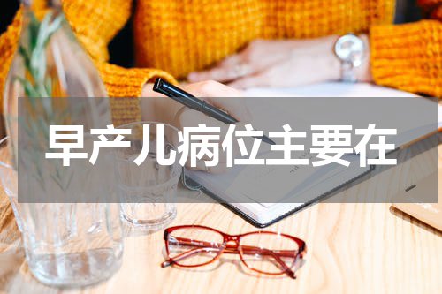 早产儿病位主要在