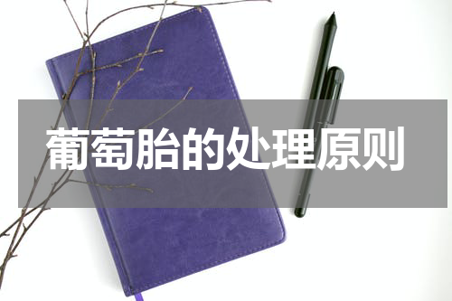 葡萄胎的处理原则