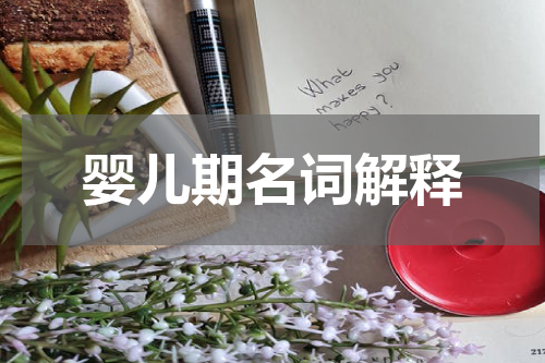 婴儿期名词解释