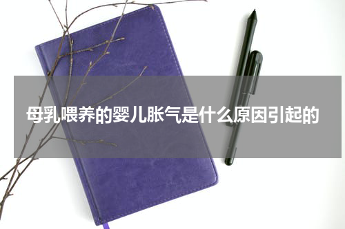 母乳喂养的婴儿胀气是什么原因引起的