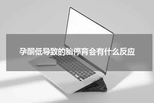 孕酮低导致的胎停育会有什么反应