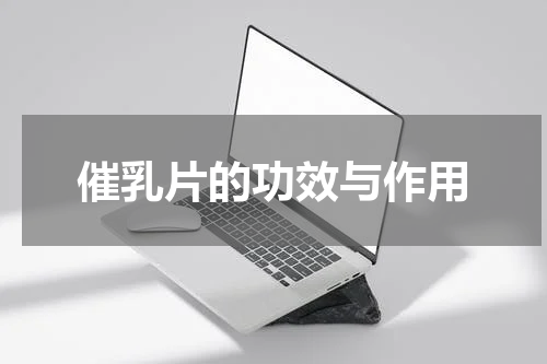 催乳片的功效与作用