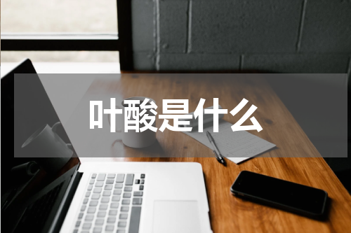 叶酸是什么