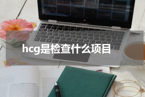 hcg是检查什么项目