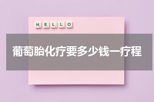 葡萄胎化疗要多少钱一疗程