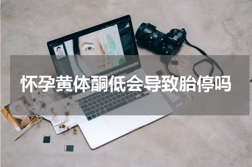 怀孕黄体酮低会导致胎停吗