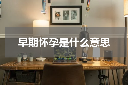 早期怀孕是什么意思