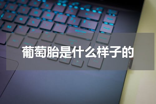 葡萄胎是什么样子的