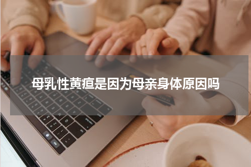 母乳性黄疸是因为母亲身体原因吗