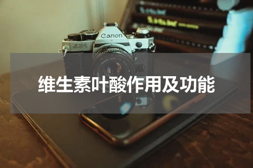 维生素叶酸作用及功能
