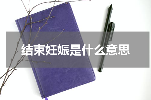 结束妊娠是什么意思