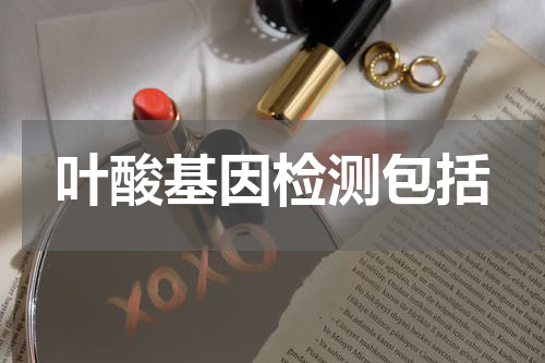 叶酸基因检测包括
