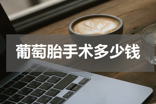 葡萄胎手术多少钱