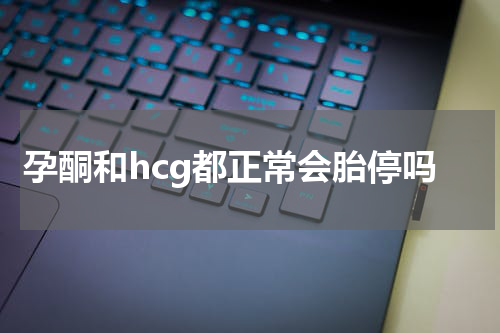 孕酮和hcg都正常会胎停吗