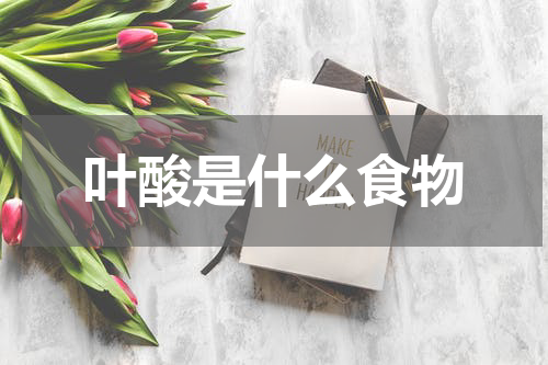 叶酸是什么食物