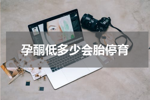 孕酮低多少会胎停育