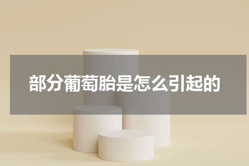 部分葡萄胎是怎么引起的