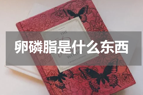 卵磷脂是什么东西