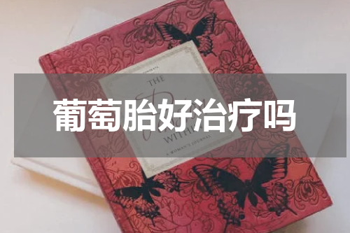 葡萄胎好治疗吗