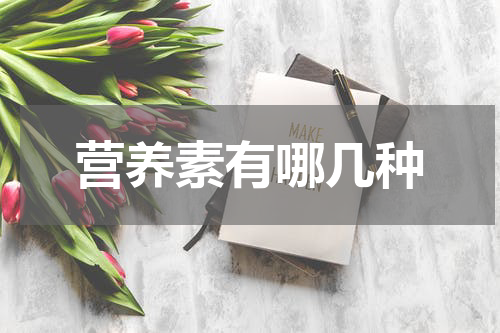 营养素有哪几种