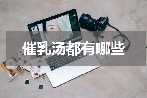 催乳汤都有哪些