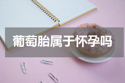 葡萄胎属于怀孕吗