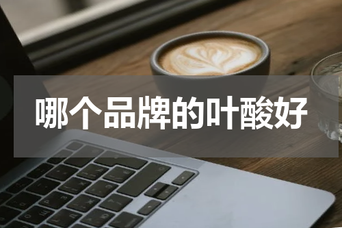哪个品牌的叶酸好