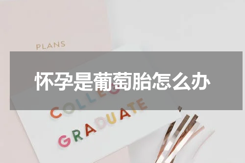 怀孕是葡萄胎怎么办
