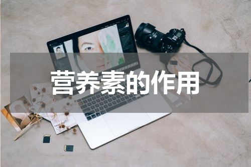 营养素的作用