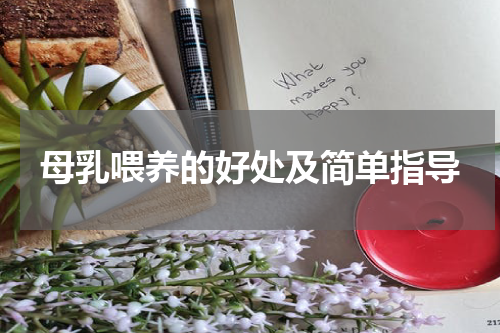 母乳喂养的好处及简单指导