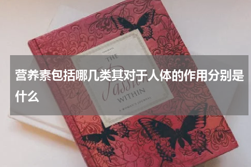 营养素包括哪几类其对于人体的作用分别是什么