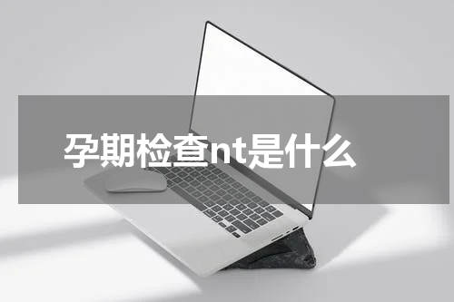 孕期检查nt是什么
