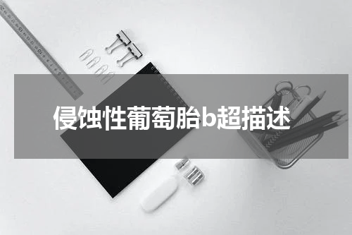 侵蚀性葡萄胎b超描述