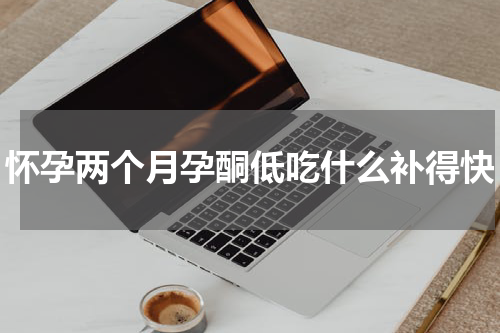 怀孕两个月孕酮低吃什么补得快