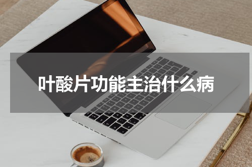 叶酸片功能主治什么病