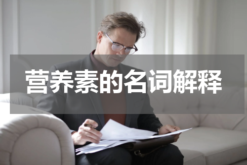 营养素的名词解释