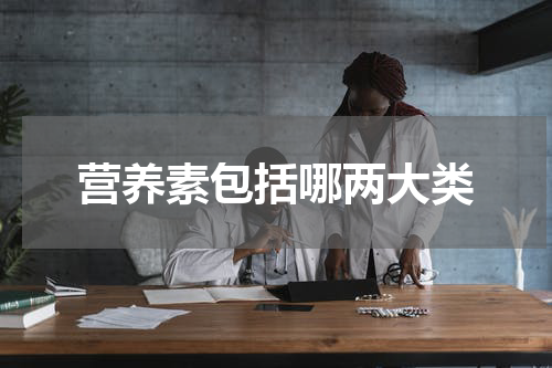 营养素包括哪两大类