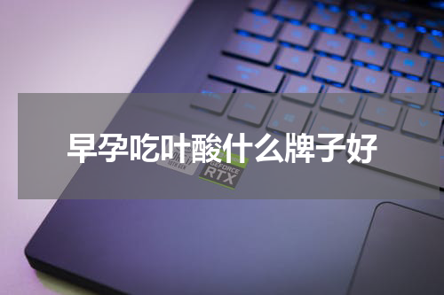 早孕吃叶酸什么牌子好