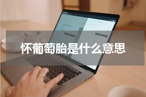 怀葡萄胎是什么意思
