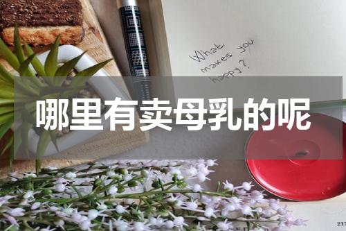 哪里有卖母乳的呢
