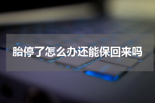 胎停了怎么办还能保回来吗