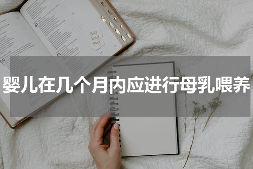 婴儿在几个月内应进行母乳喂养
