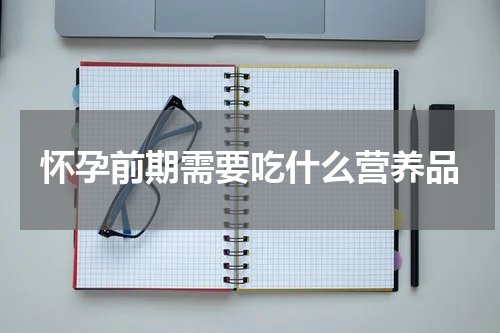 怀孕前期需要吃什么营养品