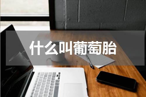 什么叫葡萄胎
