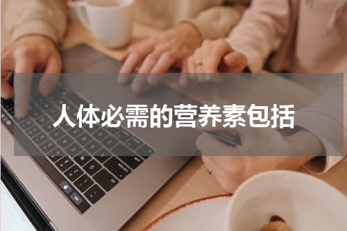 人体必需的营养素包括