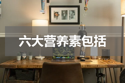 六大营养素包括