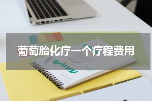 葡萄胎化疗一个疗程费用